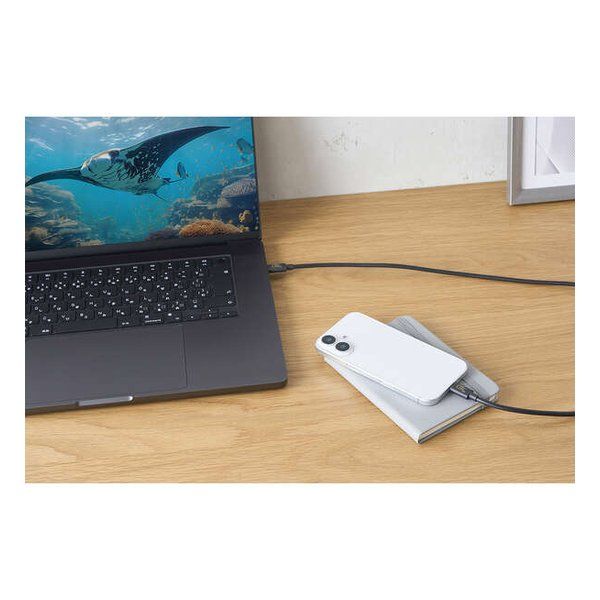 Delivery対応|240W|80Gbps|1.0m|ブラック USB4-V2CCE10NBK