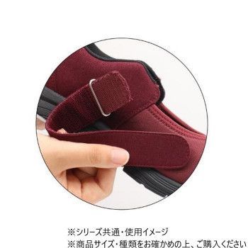 晴77 ワイン