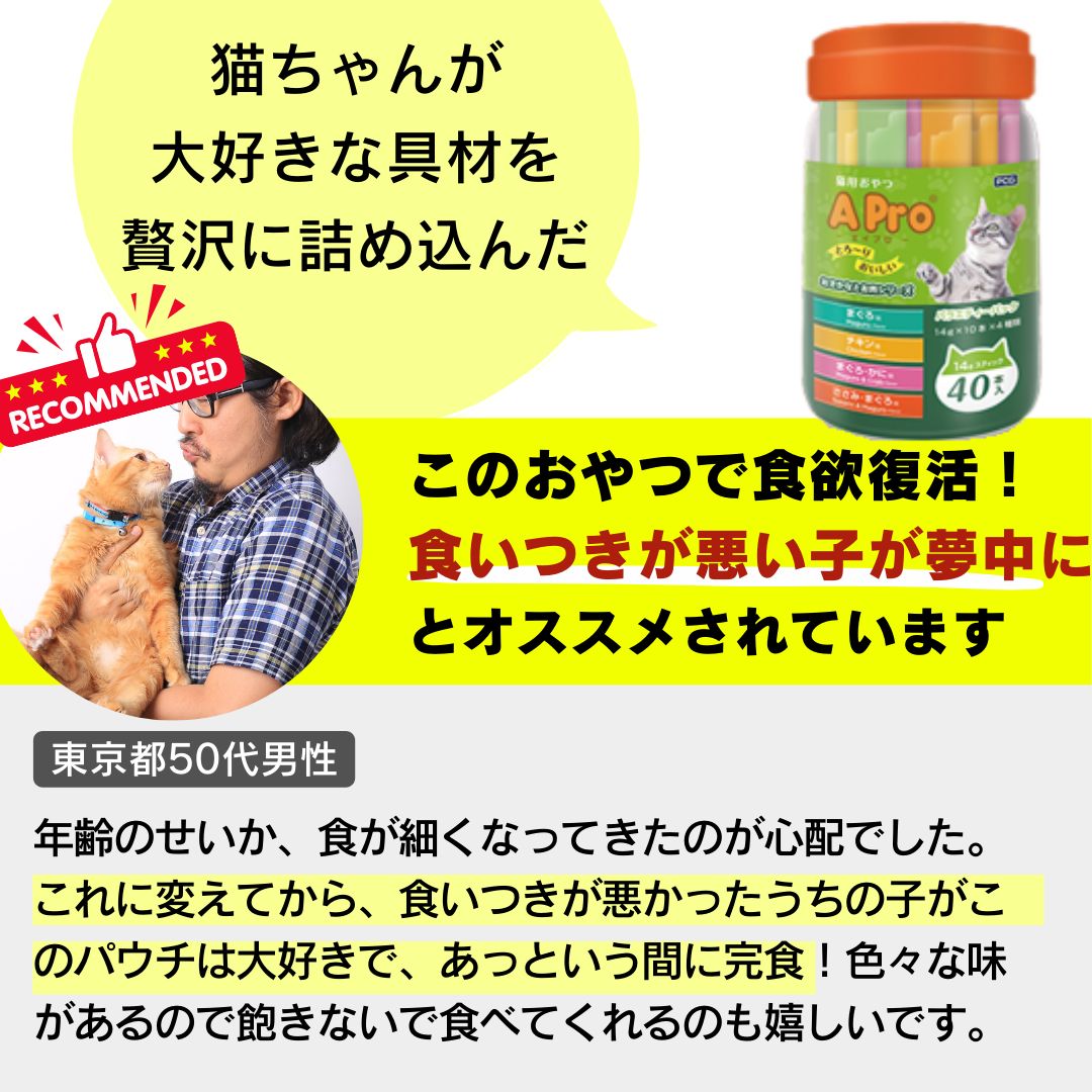 保護猫