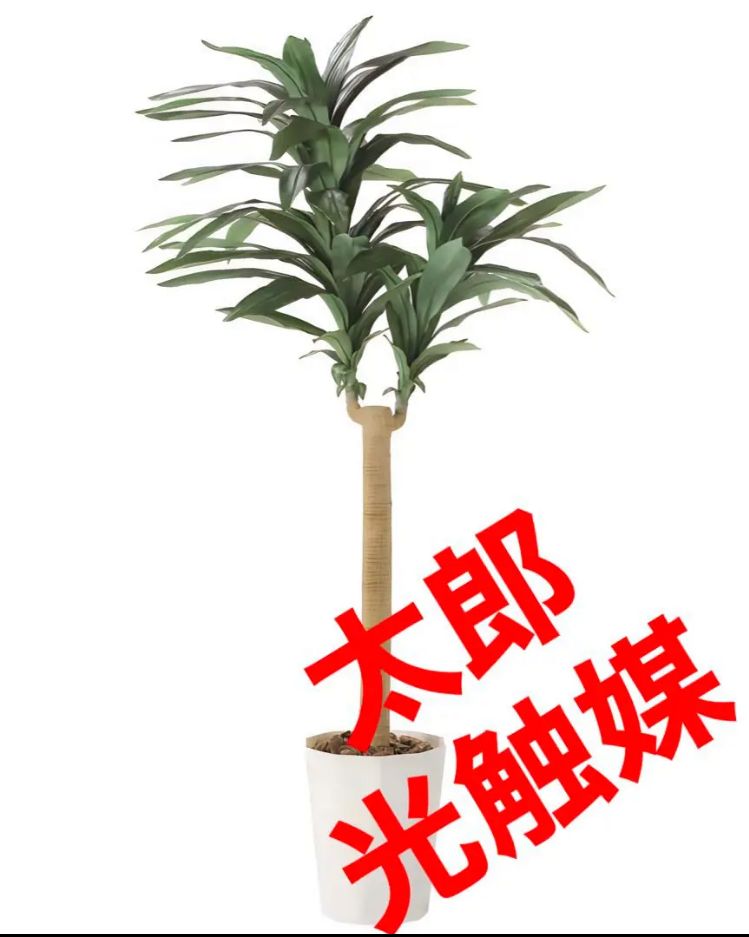 光の楽園 光触媒加工 人工観葉植物 幸福の木1.8m 401E400-37 - 観葉植物