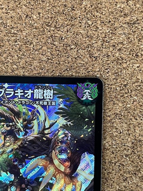 翌日発送】ブラキオ龍樹 2枚 ジャンク - メルカリ