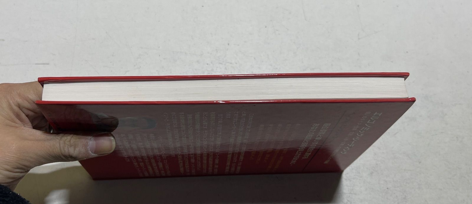 車いすのためのエルゴノミック・シーティング