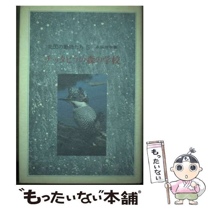【中古】 チッタピラの森の学校/偕成社/永田洋平 中古】 チッタピラの森の学校/偕成社/永田洋平
