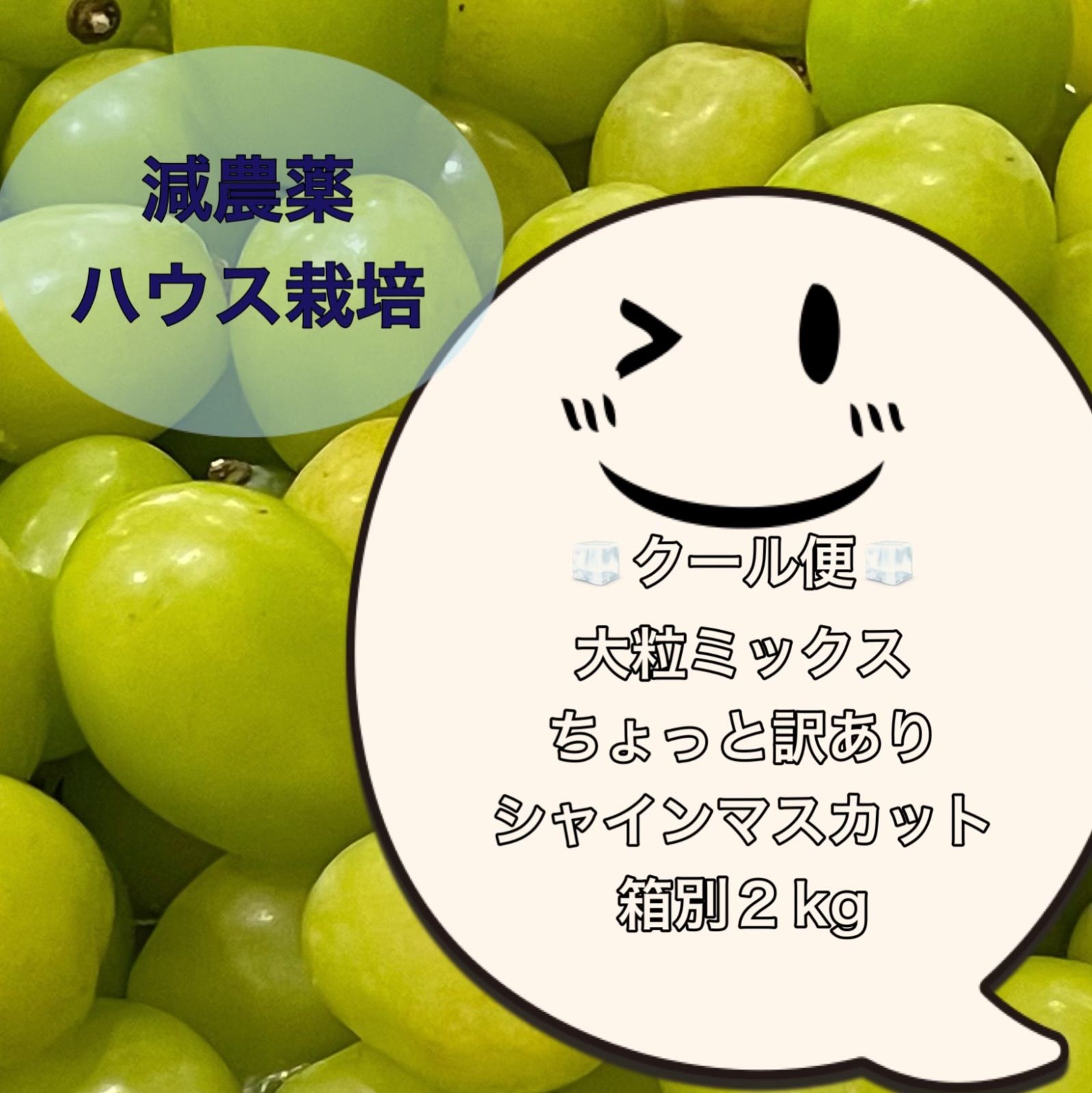 ひなた様専用クール便 【公式通販】