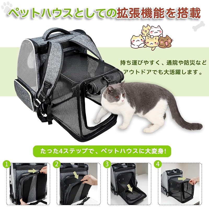 小型犬 猫