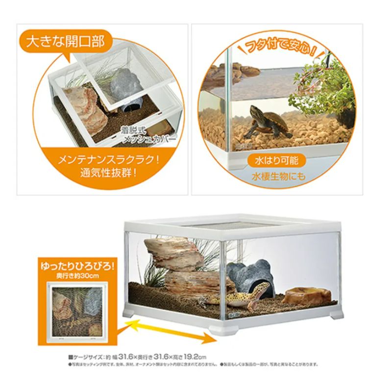 両生類 多頭飼い