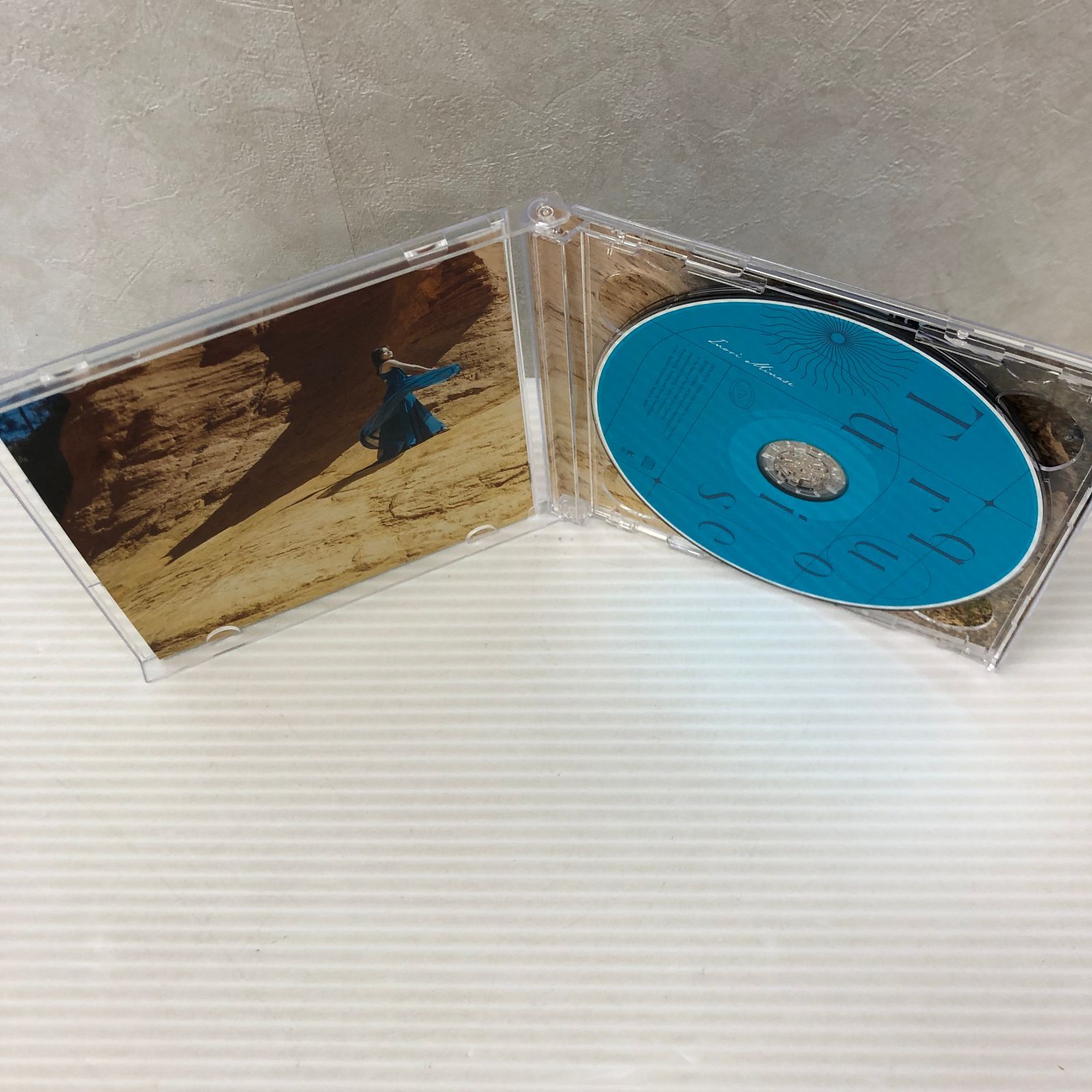 水瀬いのり　CDまとめ売り 水瀬いのり/CDまとめ売り