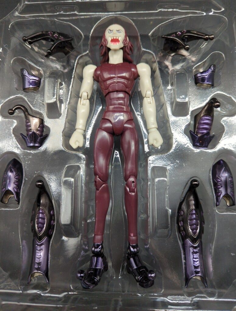 BANDAI 聖闘士聖衣神話 車田正美 アケローン カロン/冥衣/魂