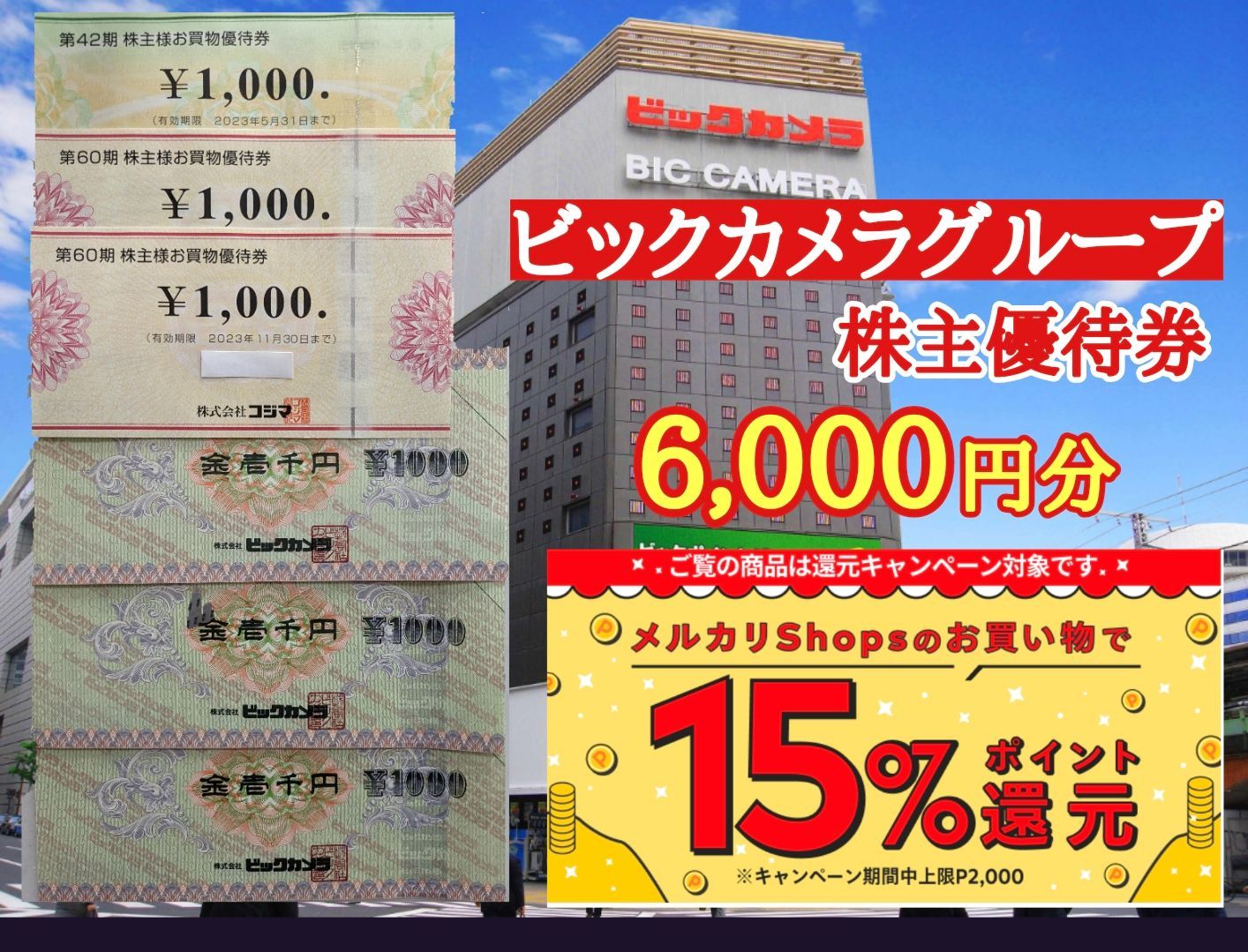 ビックカメラグループ 株主優待券 6,000円分 - メルカリ