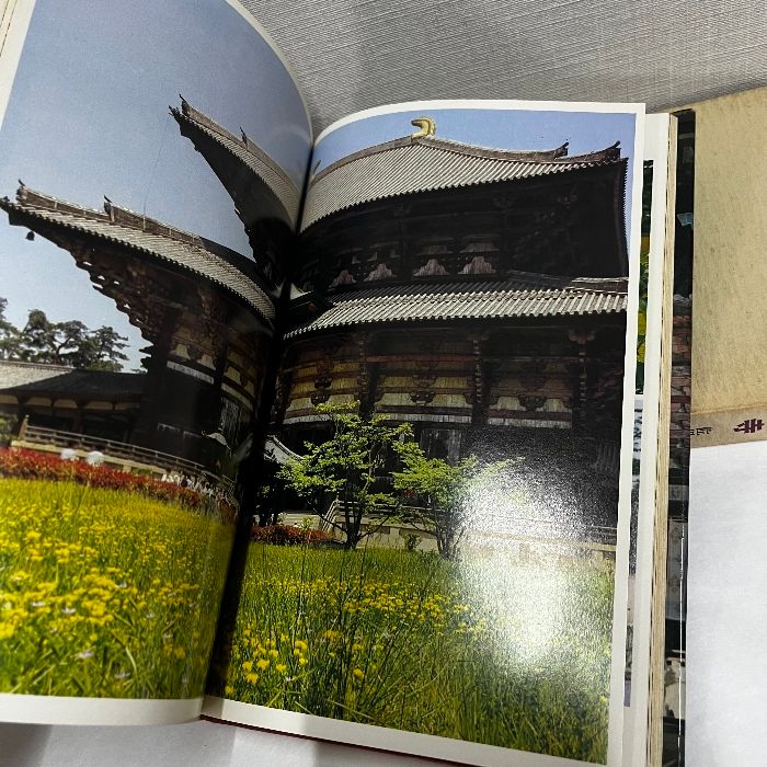 佐保山堯海筆［天地有情］東大寺別当堯海　第209代東大寺管長 佐保山堯海師の写真 - ちょっと奈良まで行ってきます2