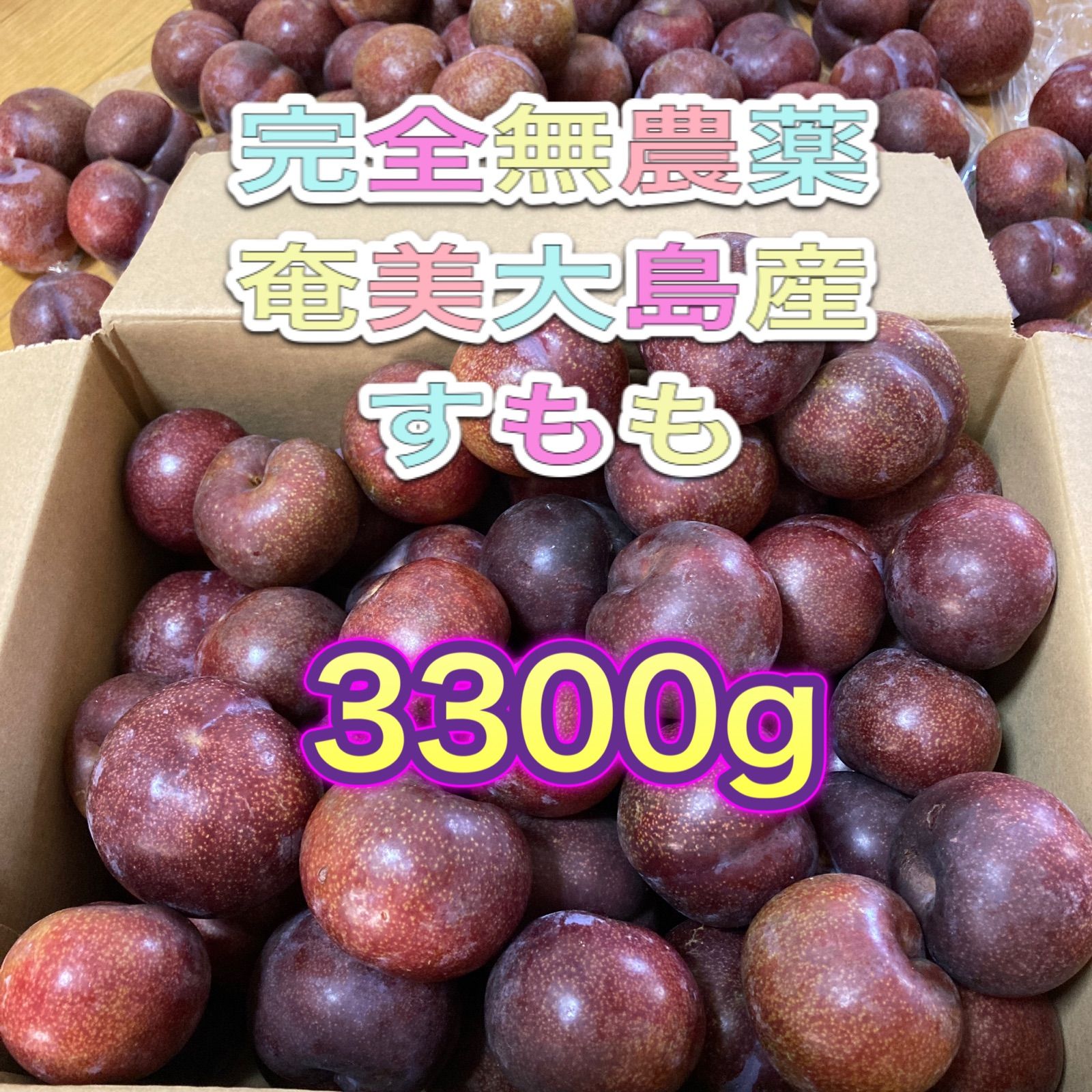 ナチュラルネイビー 奄美大島産 すもも 3300g - 通販