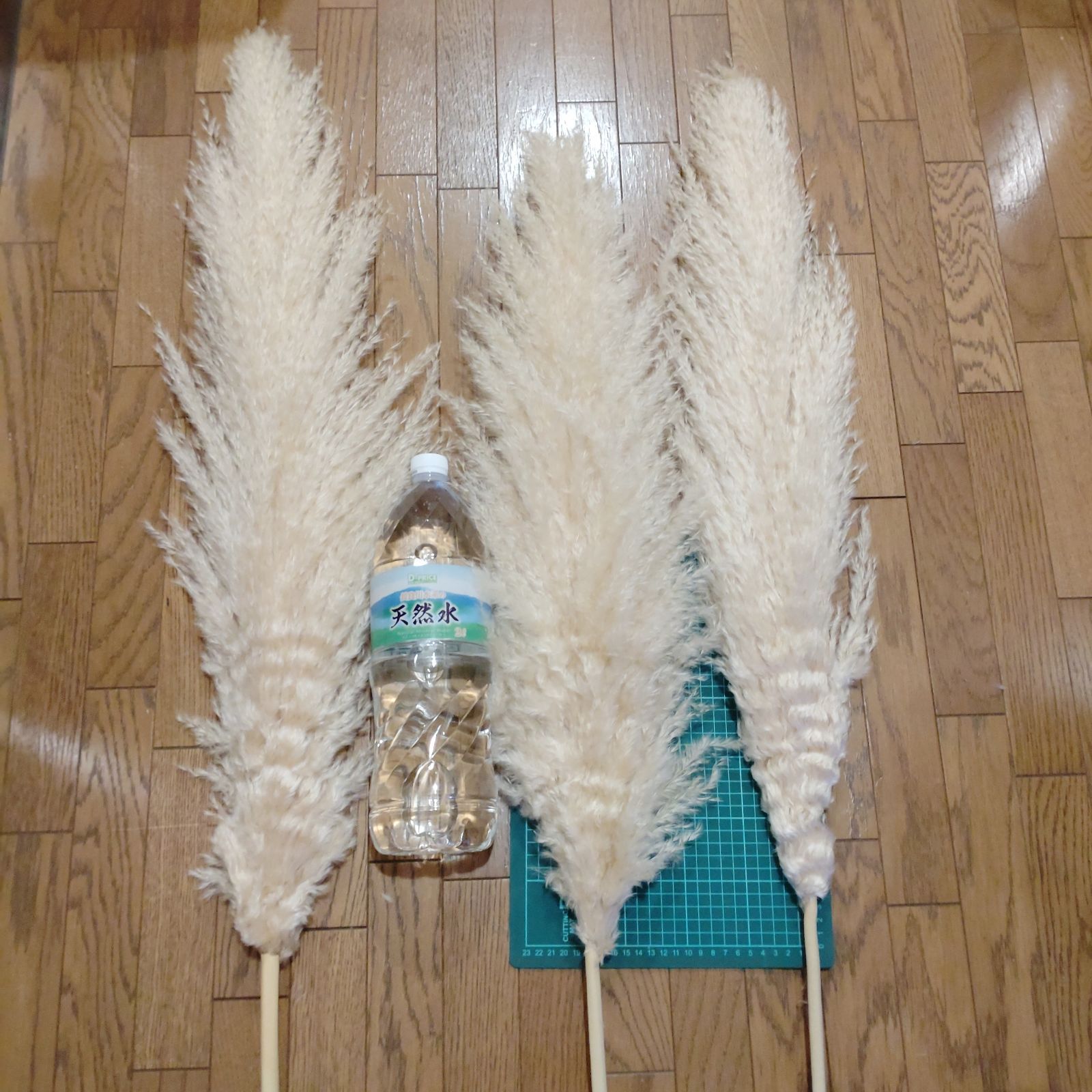 パンパスグラス