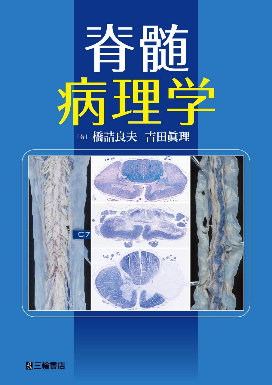 森田正馬全集 全7巻セット 白揚社 r0705-6.森田正馬全集 第1巻〜第7巻