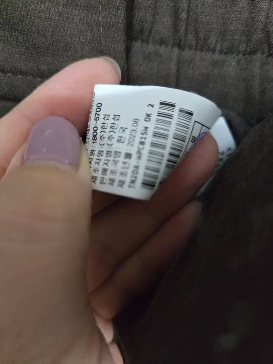 トム グレイハウンド