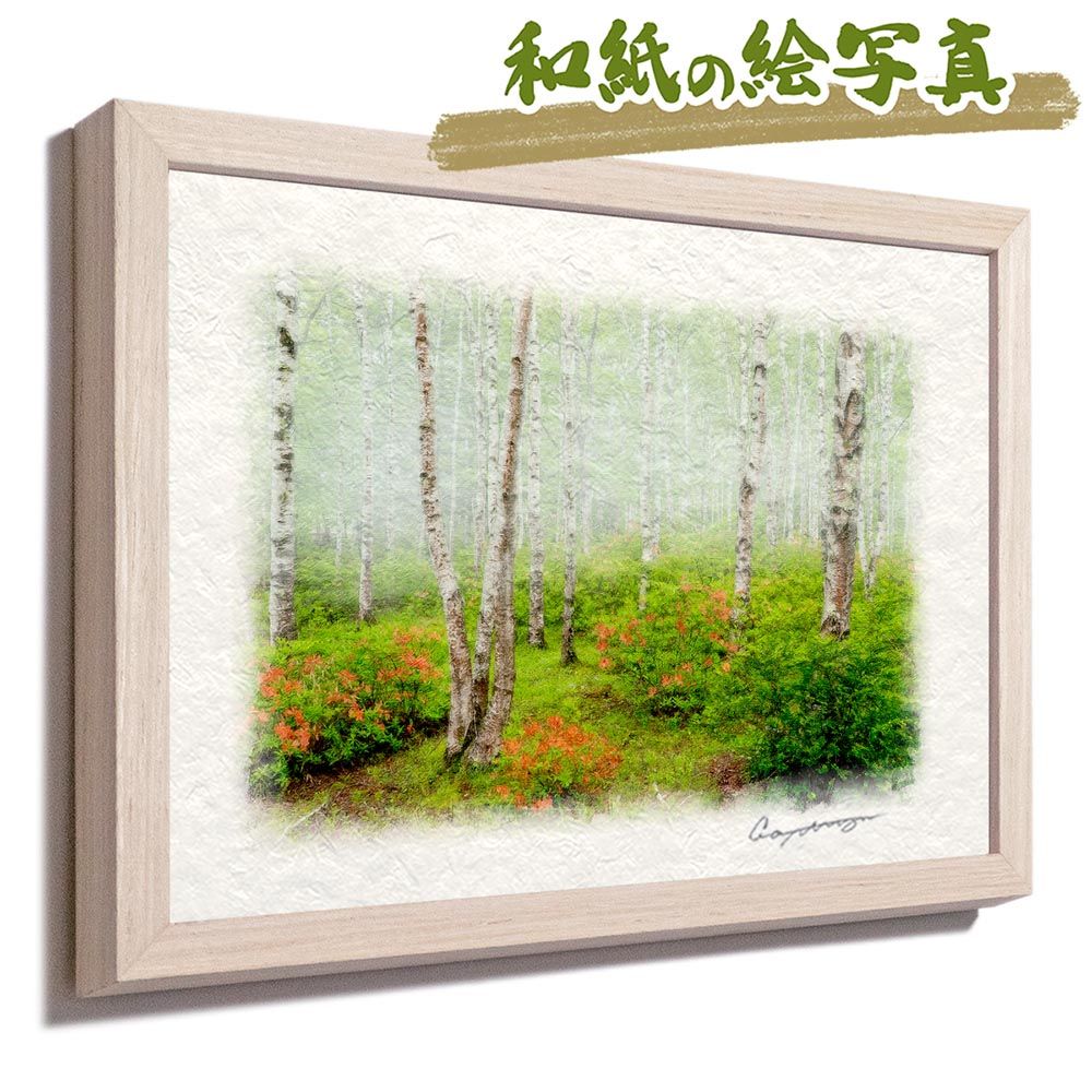 2色マーカー刷で誰もが読み理解できるキミにもできる スーパーエリートの受験術