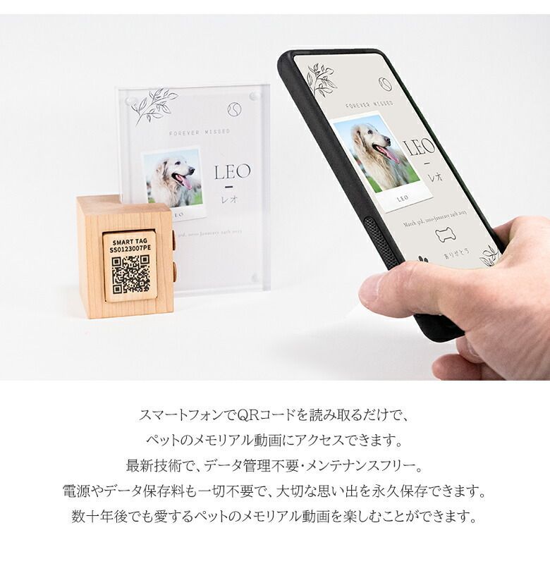 デジタル写真立て ペットの写真