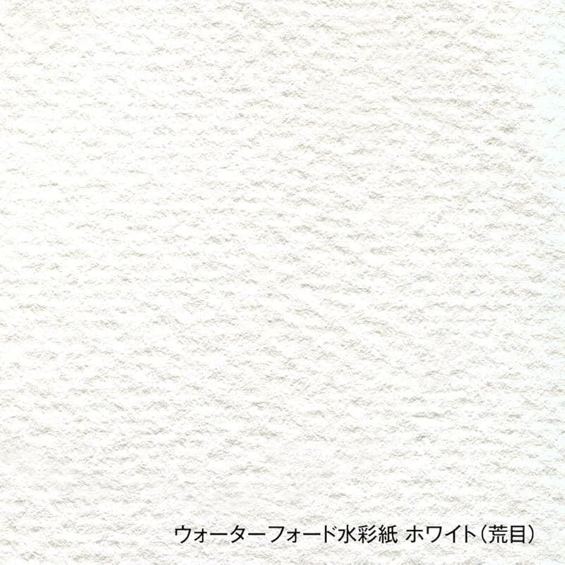 ホルベイン ウォーターフォード水彩紙 EH-PCP ホワイト 中目 300g ポストカードサイズ 天糊パッド 20枚綴り 1 CARILOBEACH_COM