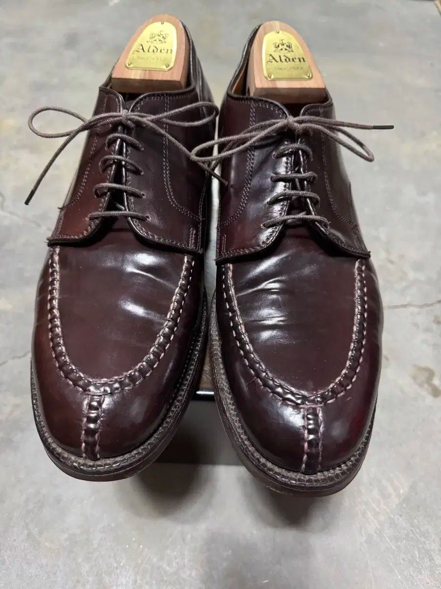 10C ALDEN(オールデン) NST コードバン ダービー 2450