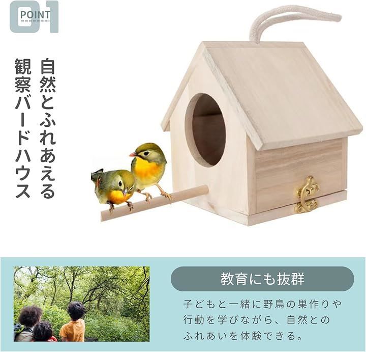 鳥籠 野鳥
