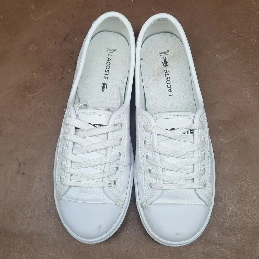 LACOSTE