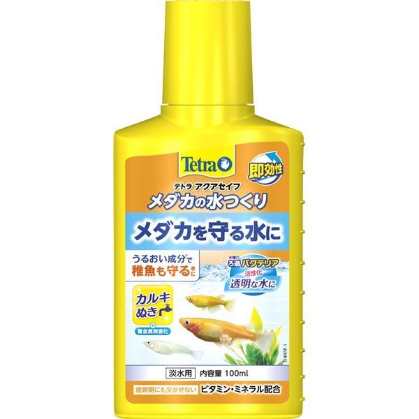 連番PSA10 1ED エクバ マイナン プラスル EBB ポケカ ポケモン