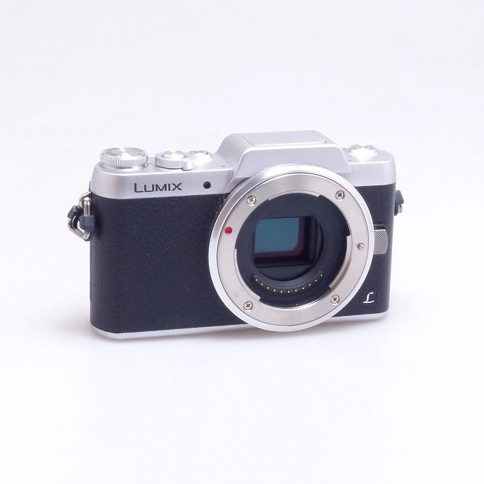 DMC-GF7