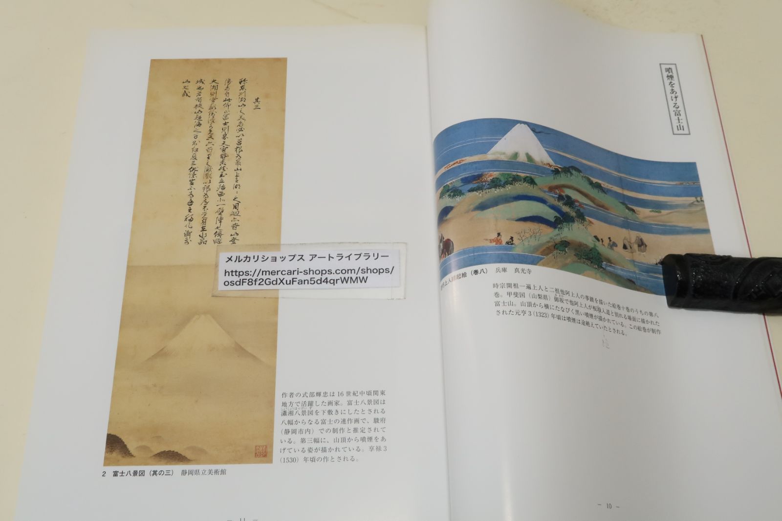 富士山大噴火・宝永の砂降りと神奈川/地域災害史の観点から