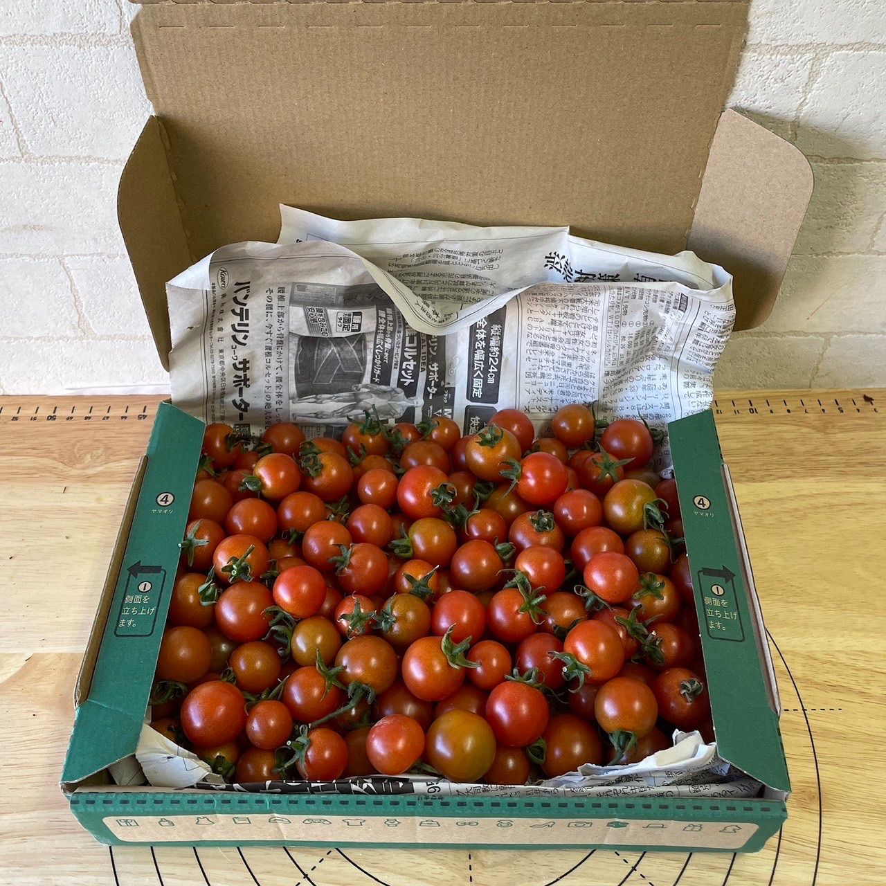 ミニトマト 1.8kg 野菜 熊本産 サイズ混合 ミネラル 弁当 リコ