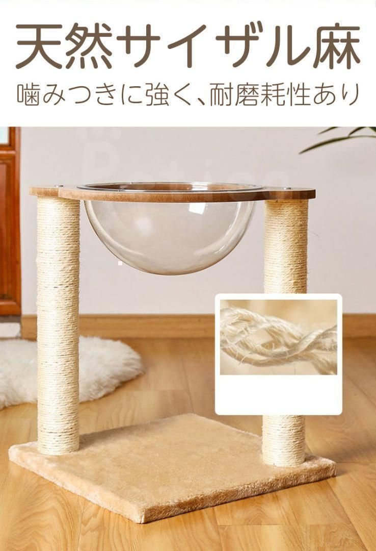 透明ボウル