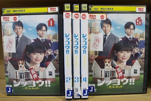 シッコウ 犬と私と執行官 全巻完結セット dvd 伊藤沙莉/中島健人/織田裕二 伊藤沙莉、GP帯連ドラ初主演 『シッコウ!!～犬と私と執行官