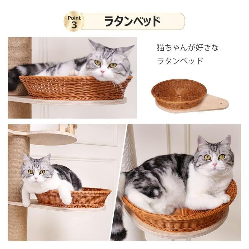 宇宙船ボウル