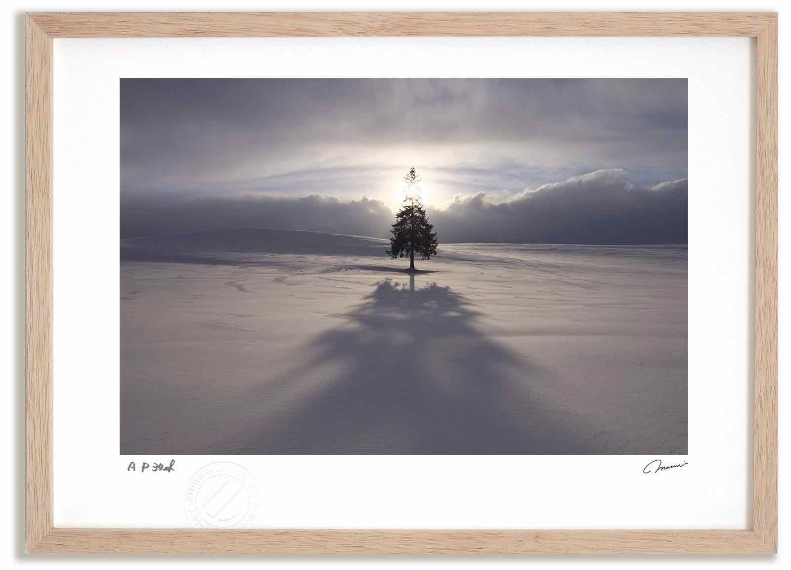 アートフォト 絵画 ツリーの木の夕日5 高橋真澄|インテリア 額入り 額装込 風景画 油絵 ポスター アート アートパネル リビング 玄関 プレゼント モダン アートフレーム 飾る Mサイズ おしゃれ 壁掛け 絵