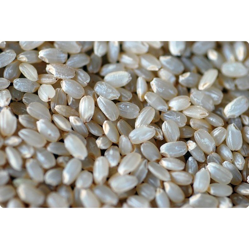 令和5年　20kg　ミルキークイーン　精米無料　山形県産　メルカリ　残留農薬ゼロ　玄米