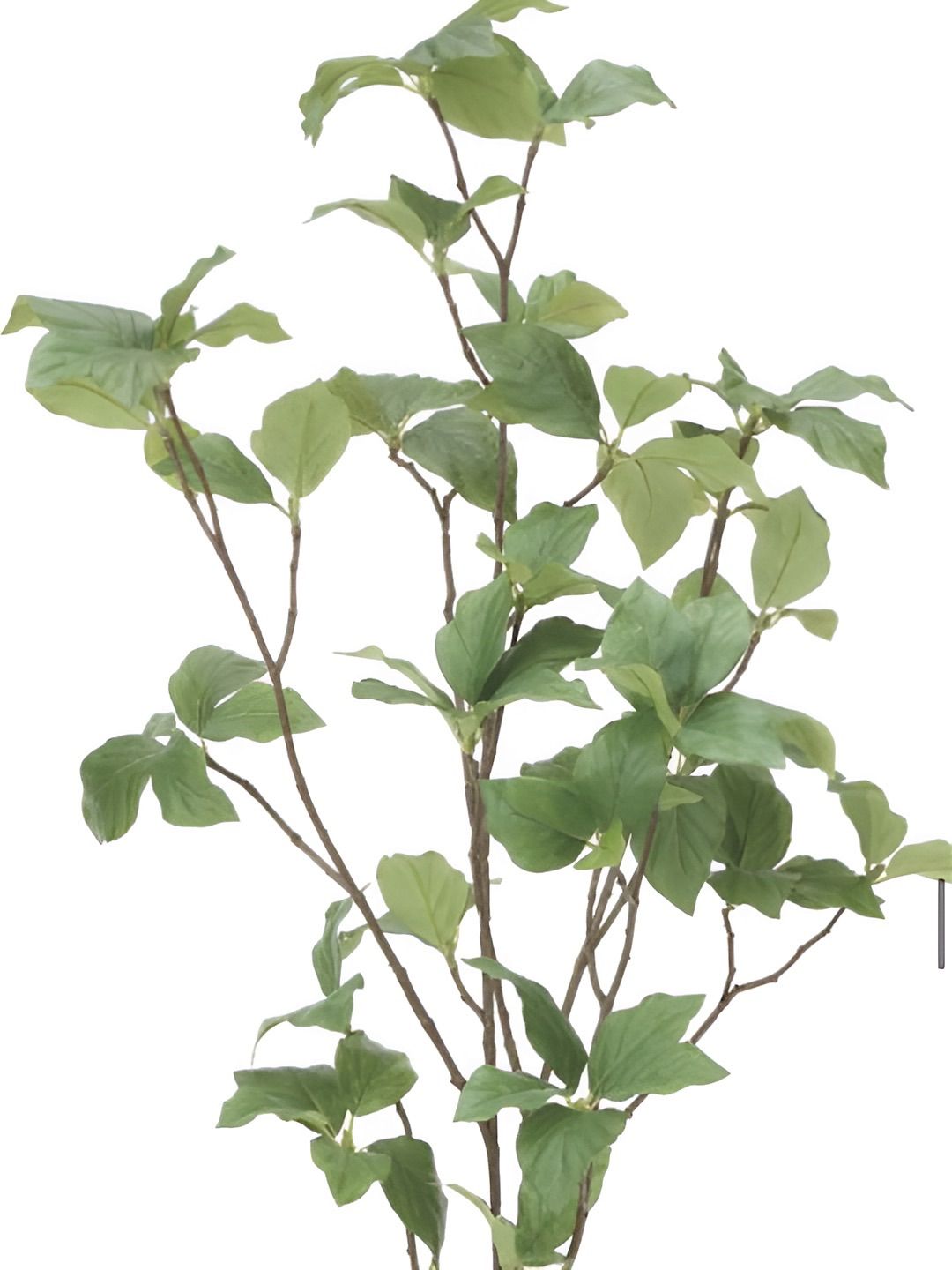 光触媒　人工観葉植物　ウォールグリーン　フェイクグリーン　サラサドウダン