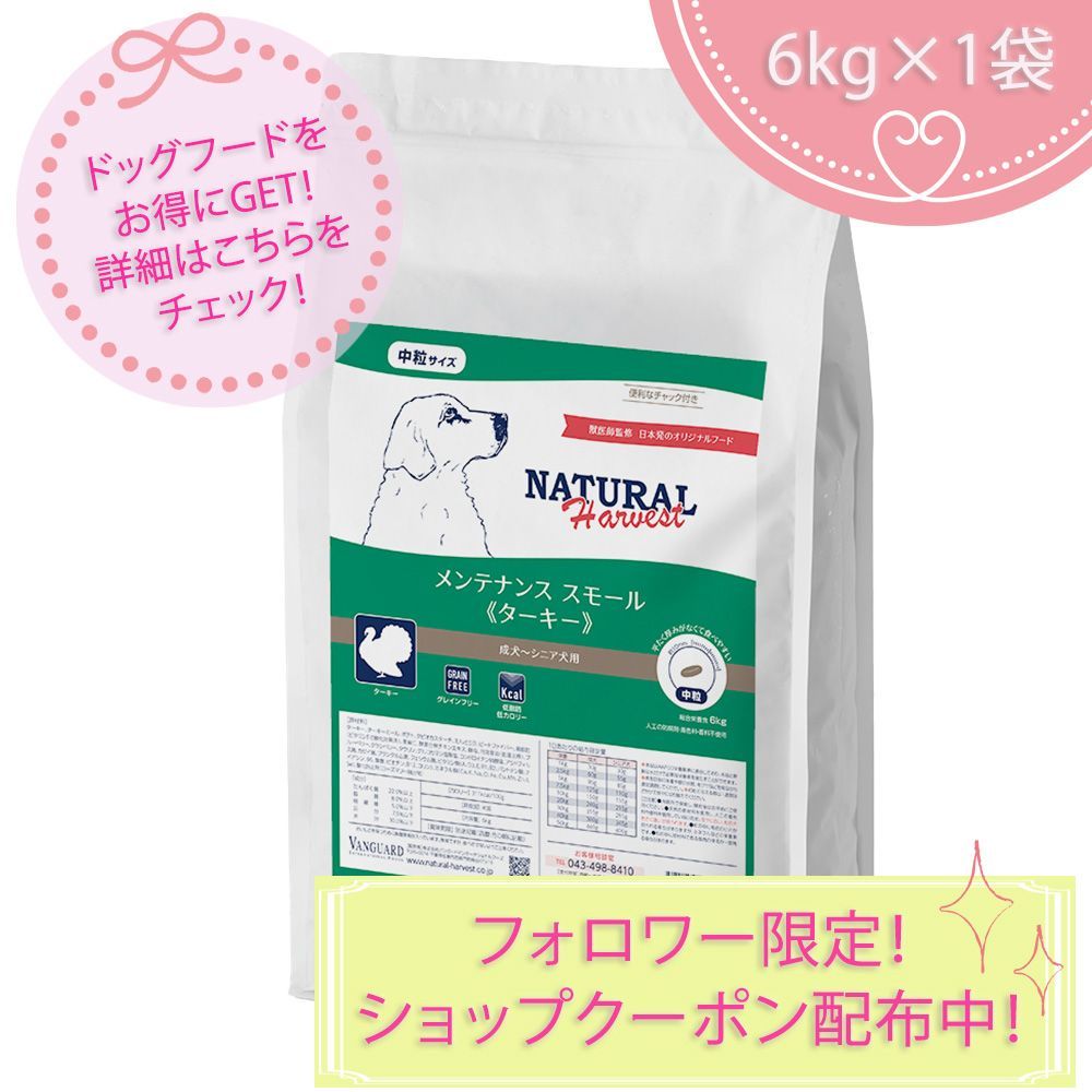 犬用品 ELMO リッチインチキン ドッグフード 800g 3kg＋マナーウェアSS男用