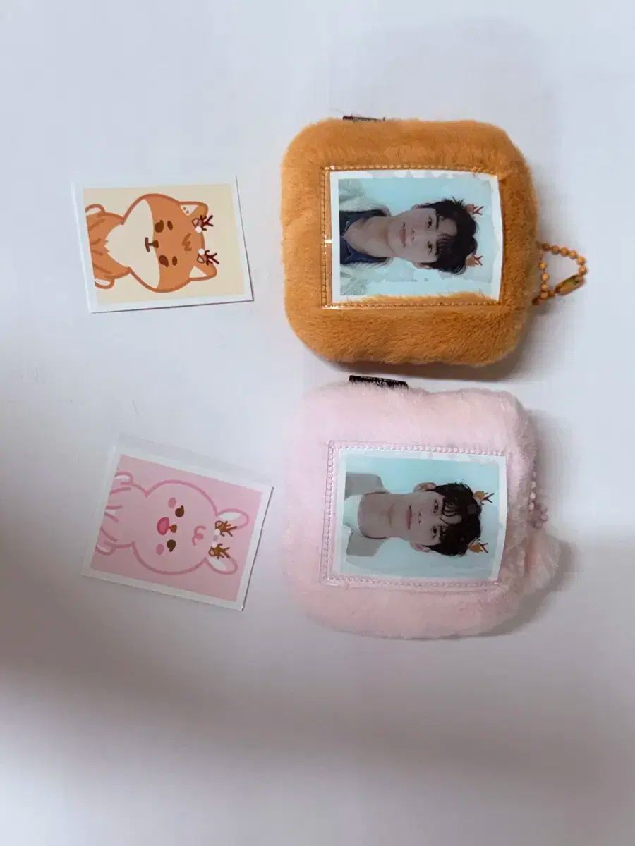 DAY6(デイシックス) day6 プチ IDホルダー ヨンケイ(Young K