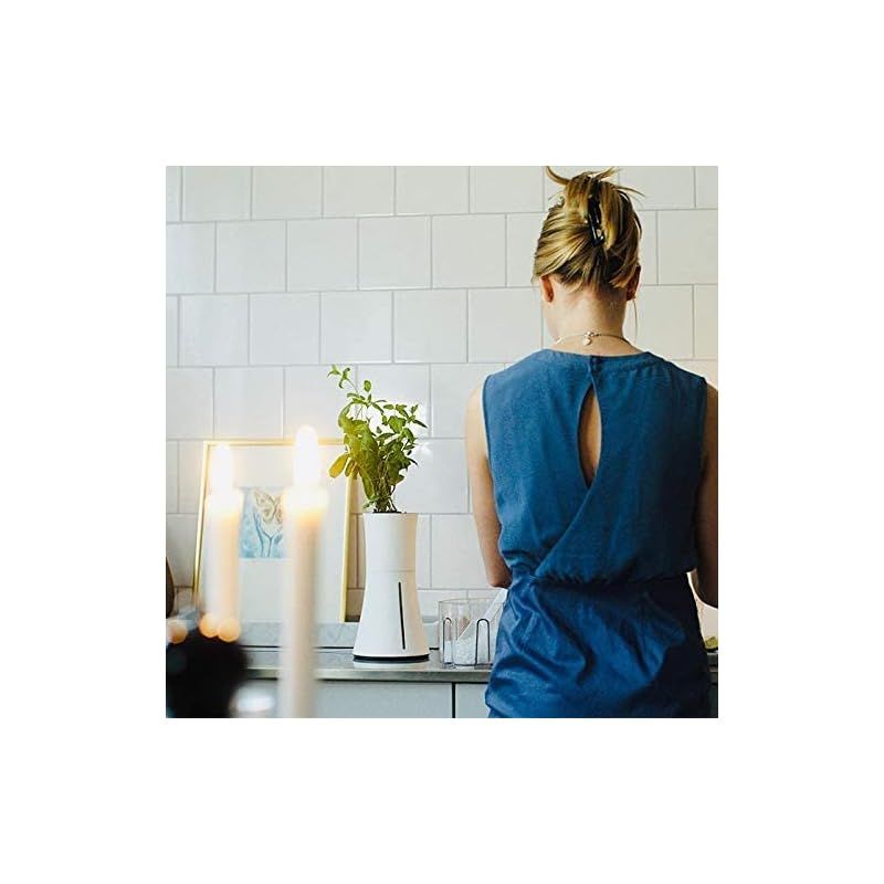 スモークホワイト 1