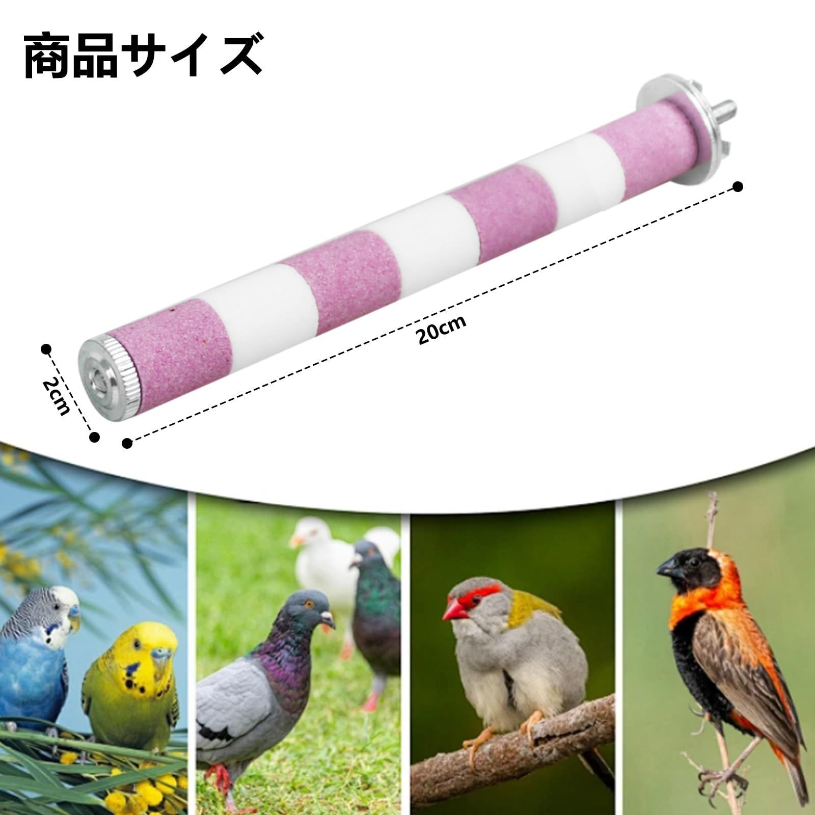 爪を磨く 文鳥 小鳥 噛む玩具 インコ オウム 鳥休み場所 鳥用爪とぎ棒 噛むおもちゃ バランス練習 爪研ぎパーチ ねじ止め鳥棒 インコ 鳥用パーチ  2本セット オウム 止まり木 鳥 20cm/本 DIFEIUKI - メルカリ