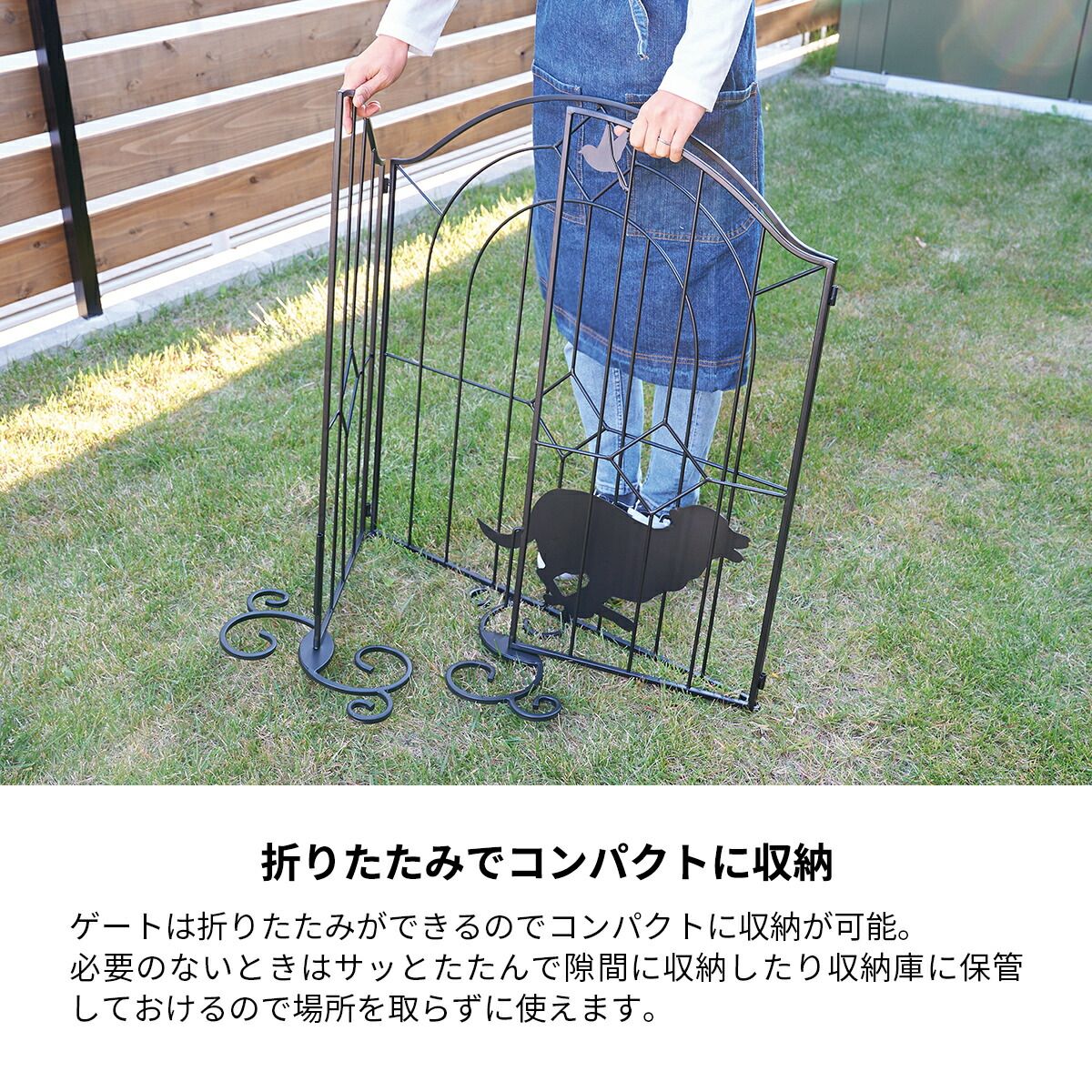 犬 猫