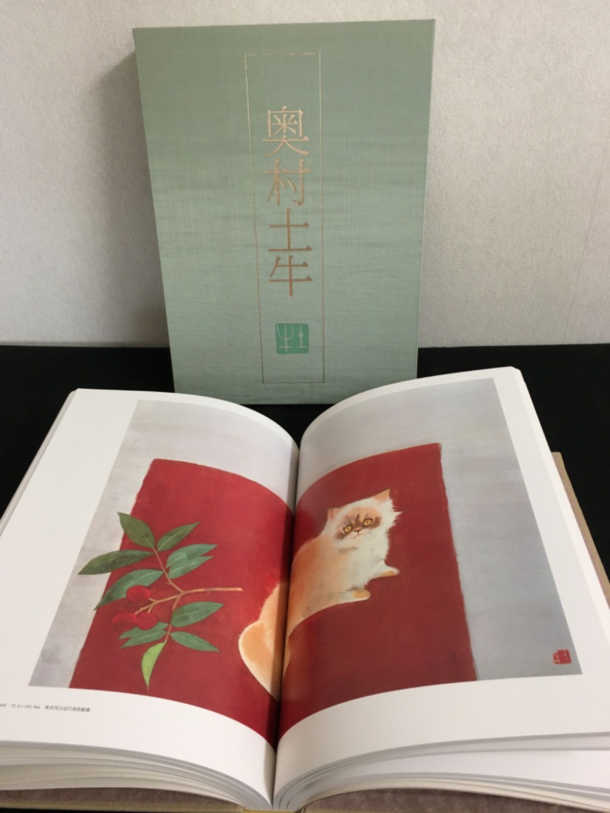 日本画素描大観七 奥村土牛 - メルカリ