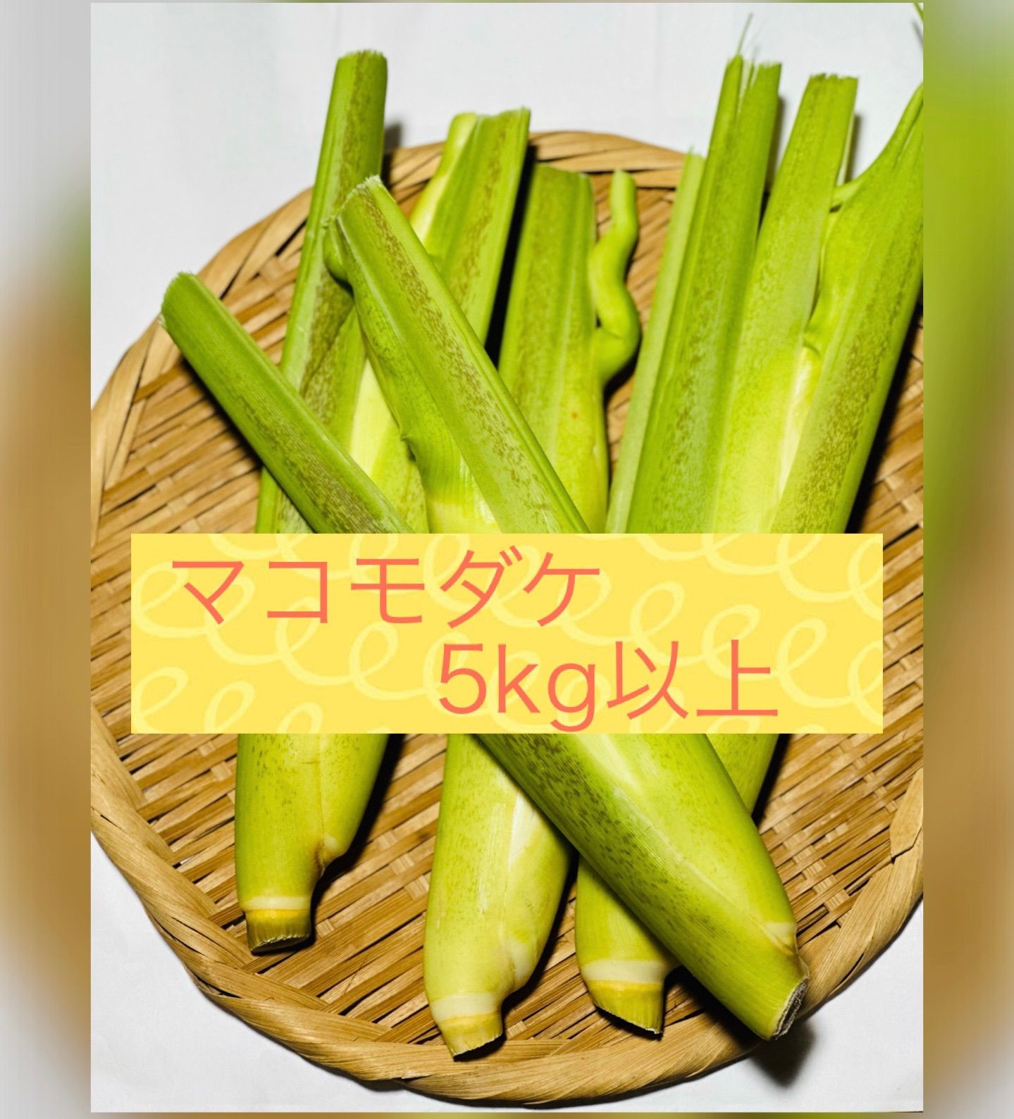 京いも種子 竹のこ里芋の種子 10kg - ダイエットフード