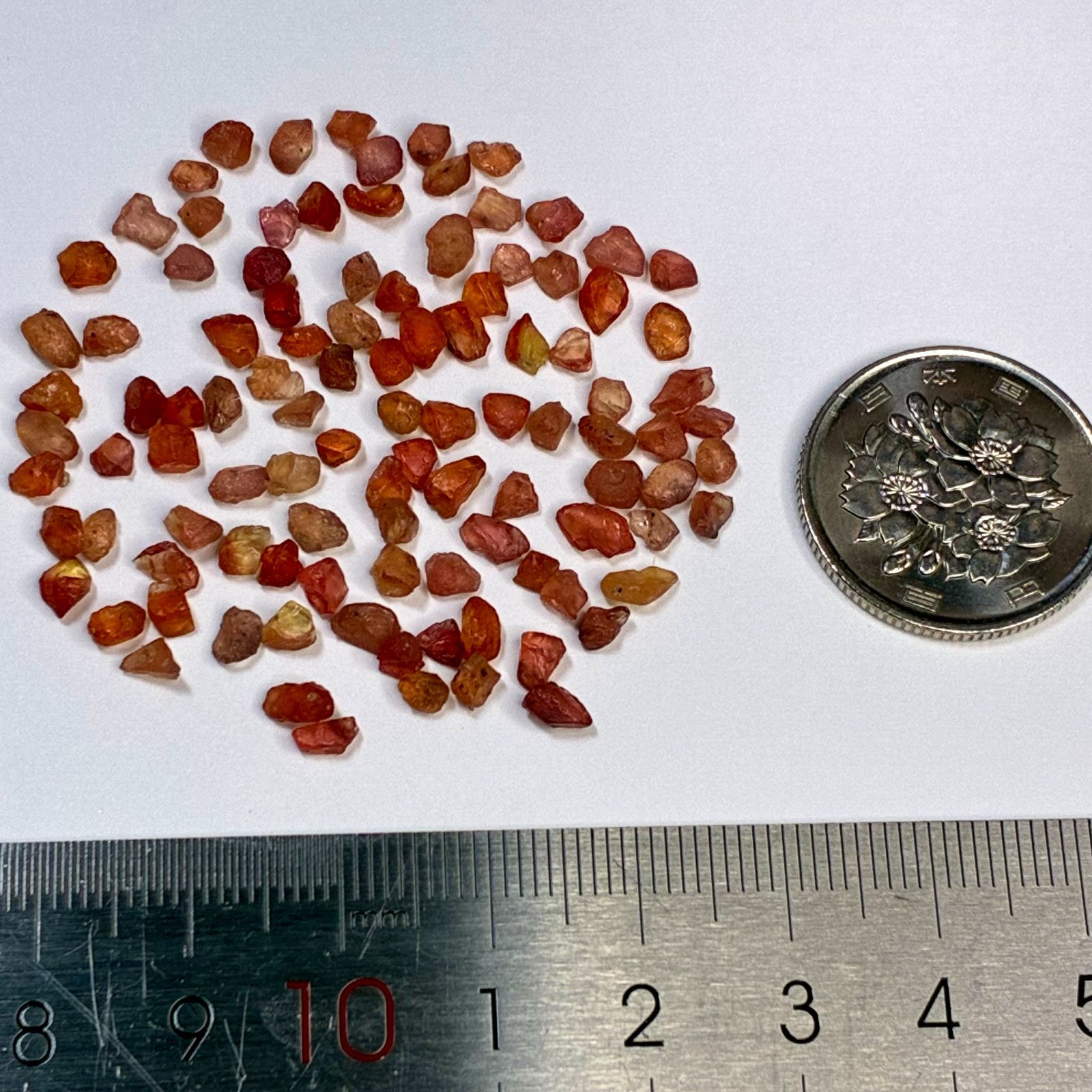 現物のみセット販売