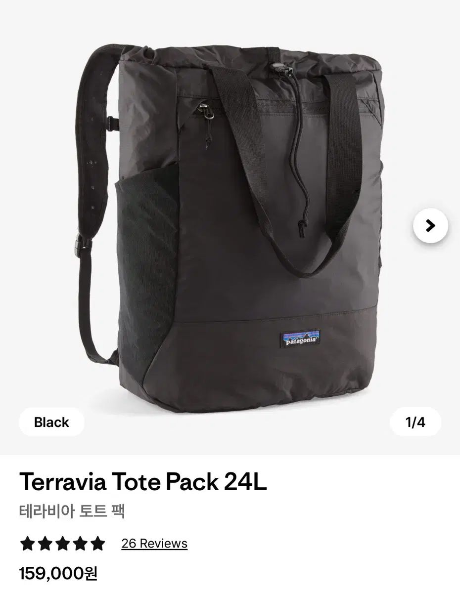 patagonia パタゴニア テラビア トートバッグ 24L 登山リュック