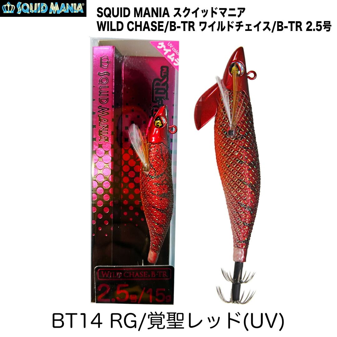 専用　ワイルドチェイス2.5 14本 SQUID MANIA スクイッドマニア WILD CHASE/B-TR ワイルド