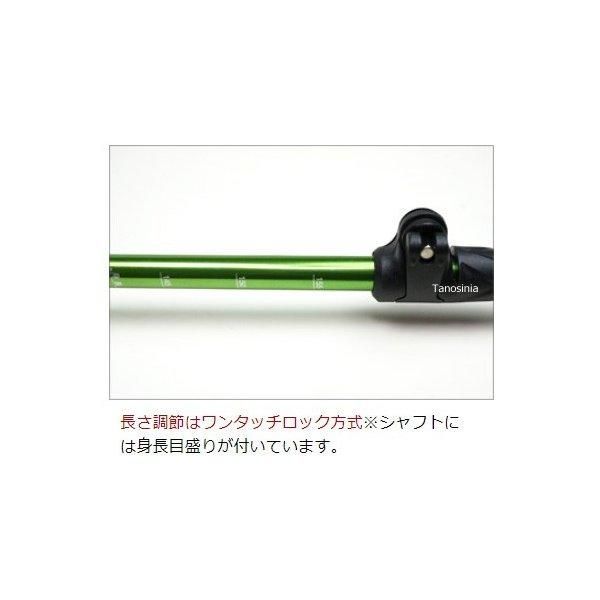 ウォーキングポール