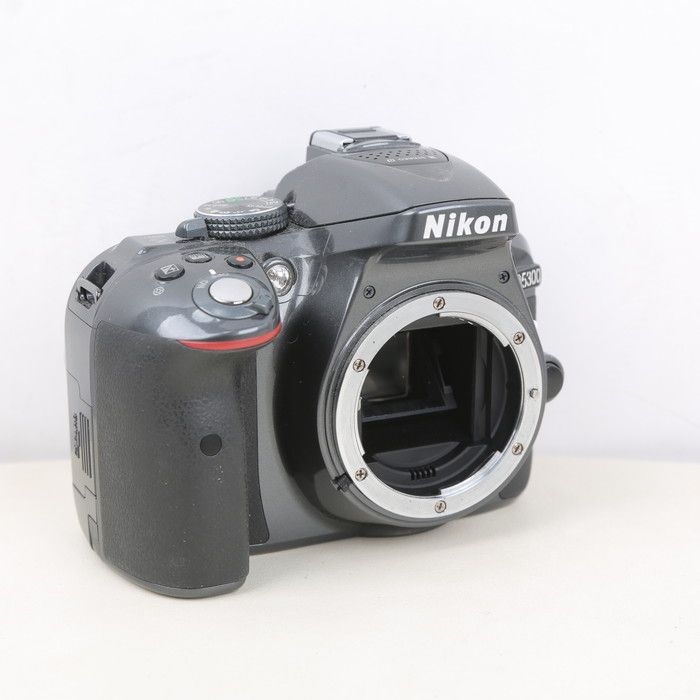 D5300