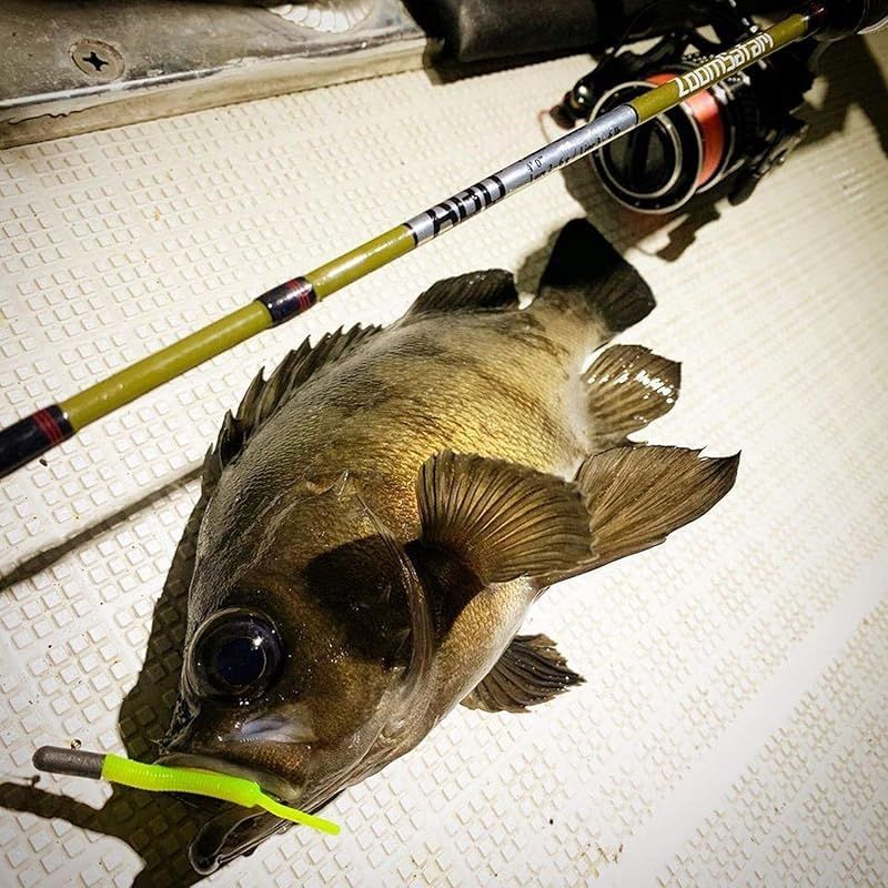 ズームサファリ 404UL ZMSS-404UL ZoomSafari ピュアフィッシング