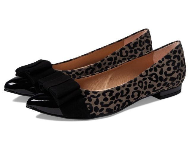 Benidai 芝生の種 ゼニゴケプラス エリオトロプラス 6個セット 海藻