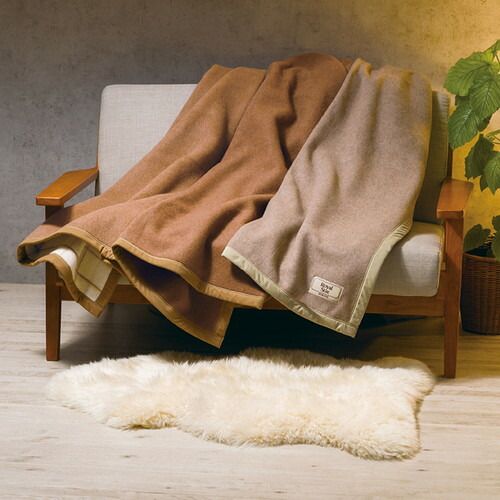 お取り寄せギフトA nishikawa キャメル ウール毛布 毛羽部分 FQ83523024 A3