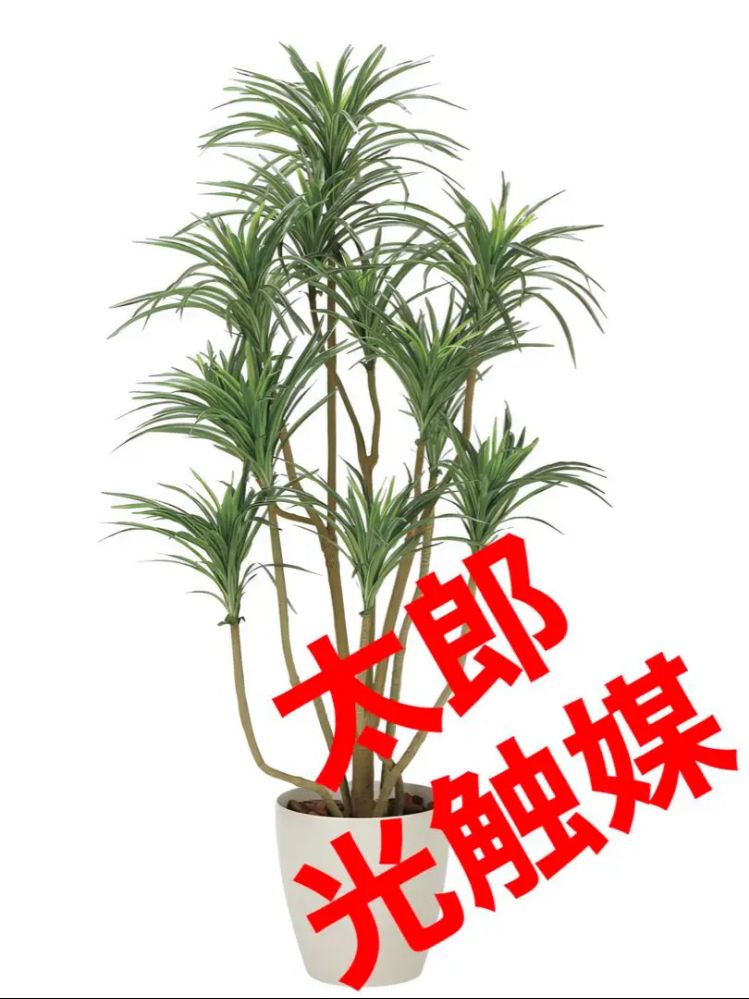 光触媒　人工観葉植物　ウォールグリーン　フェイクグリーン　DXユッカ1.6ajt'